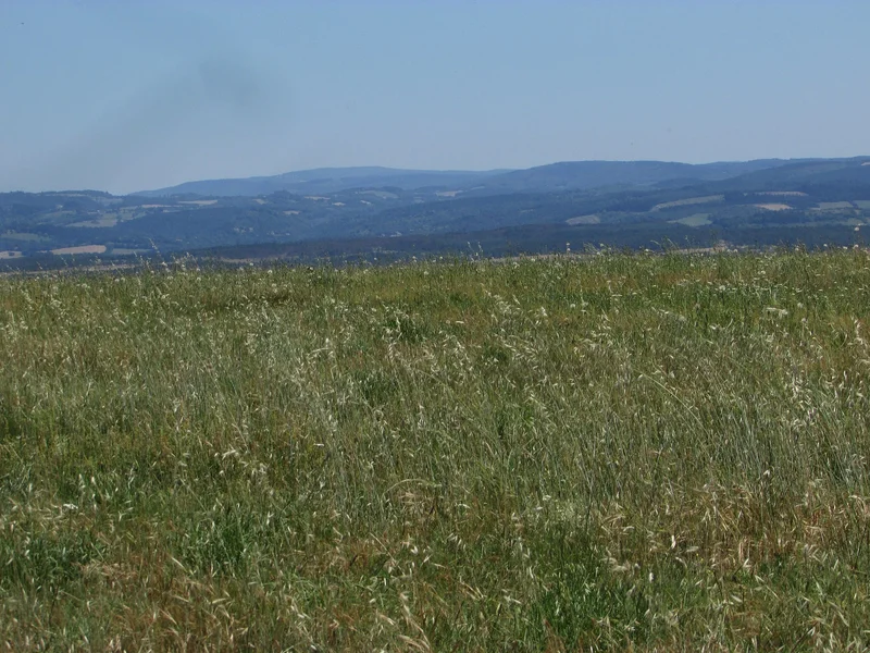 Randonnée Le sentier des Gaux · Labruguière