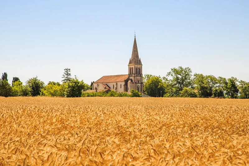 Randonnée Le circuit boisé de la Capelle · Damiatte