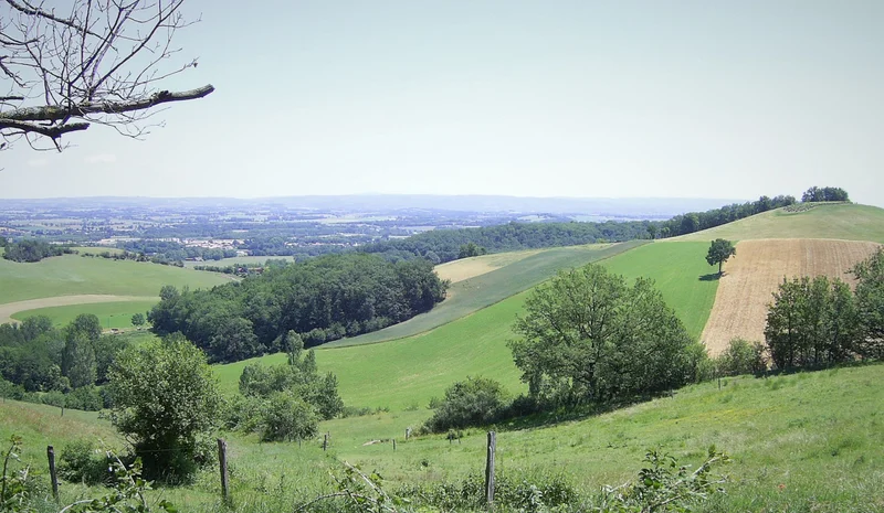Randonnée Les collines du Vaurais · Lavaur