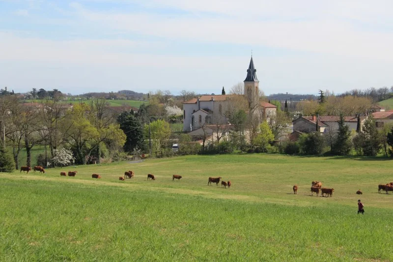 Randonnée Les coteaux de Carlus · Carlus