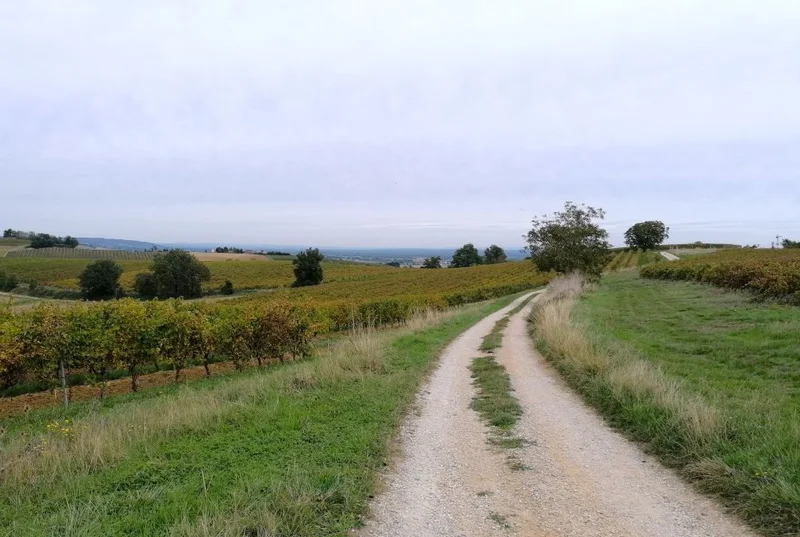 Randonnée Le lac des Auzerals · Rabastens