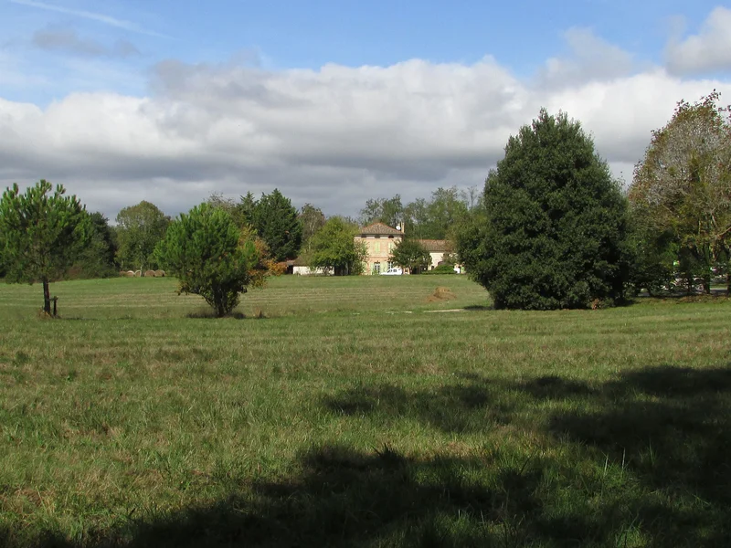 Randonnée La forêt de Sivens · Lisle-sur-Tarn