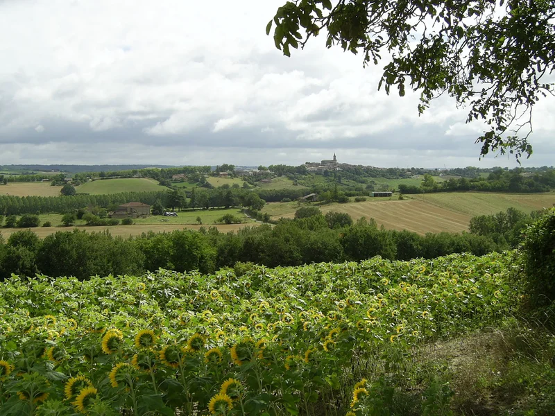 Randonnée Le Salvagnacois · Salvagnac