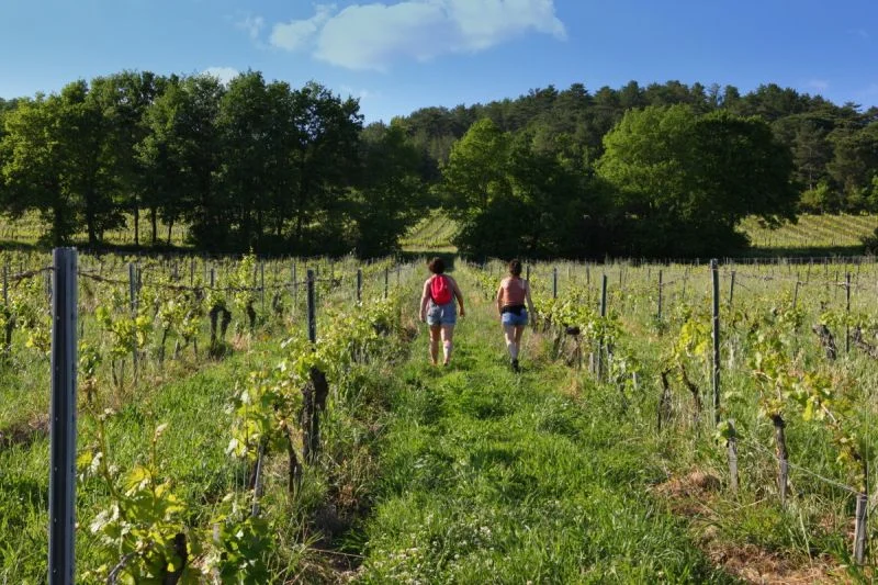 Randonnée Oenorando® Dans les pas d'Amédée le vigneron · Rabastens