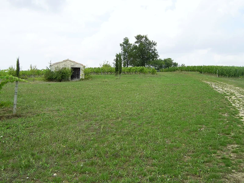Randonnée Le chemin des moines · Castanet