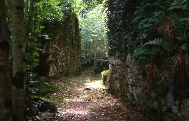 Randonnée Sicardens · Lamontélarié