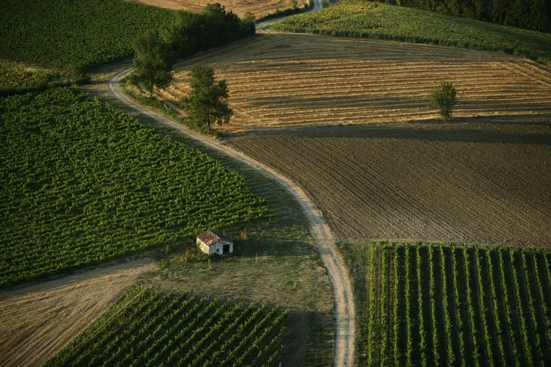 Randonnée Vignoble et châteaux · Cahuzac-sur-Vère
