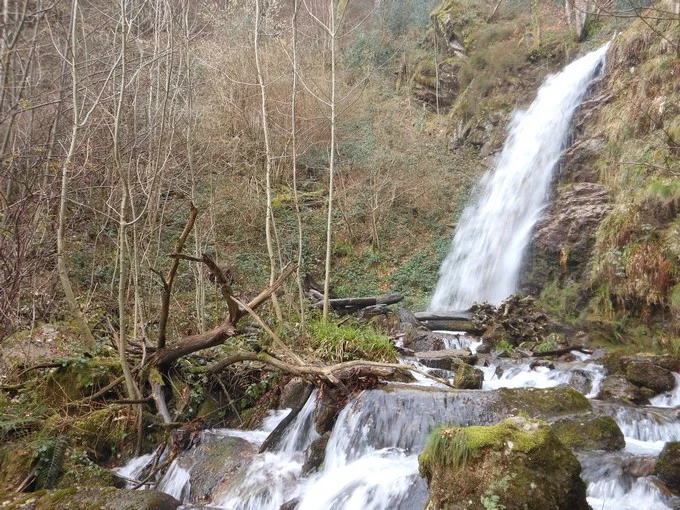 Randonnée Le sentier des Raynauds · Saint-Amans-Soult