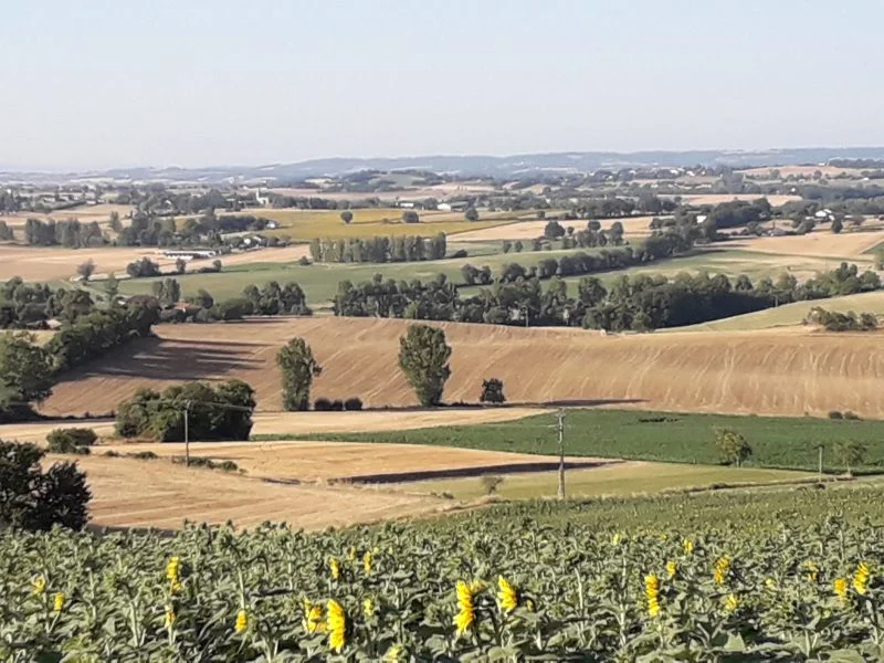 Randonnée Sentier des Colombes - Variante courte · Florentin