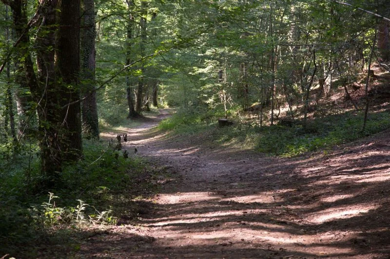 Randonnée Sentier de découverte de la forêt de Sérénac · Sérénac
