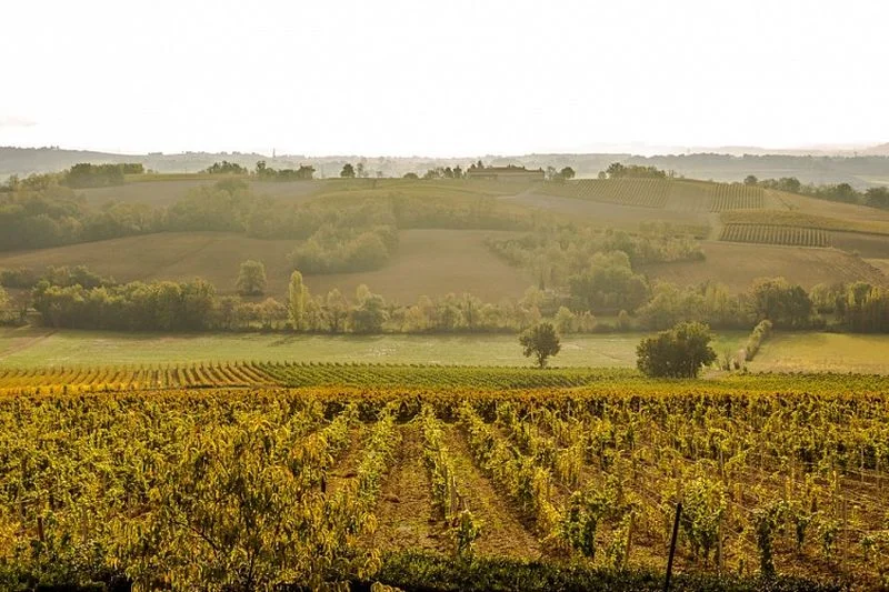 Randonnée Boucle de Saint-Martin · Rabastens
