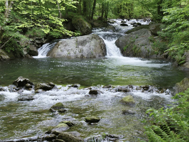 Randonnée Le ruisseau de Candesoubre · Albine