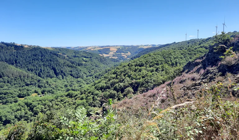 Randonnée Des Éoliennes au moulin · Assac