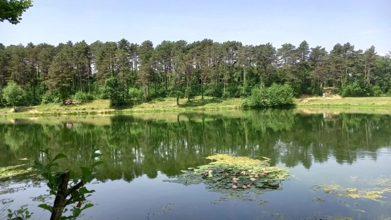 Randonnée Sentier des trois lacs · Graulhet