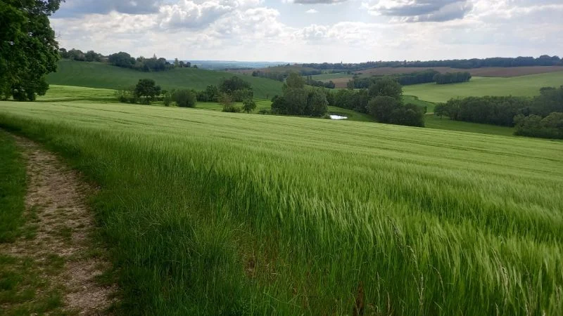 Randonnée Sentier des coteaux · Lincarque