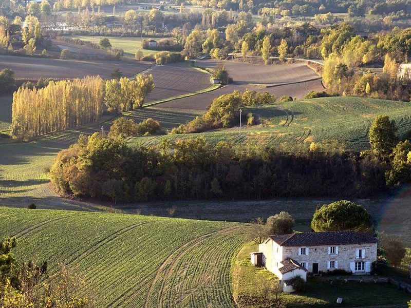 Randonnée Sentier du château de Lagarde · Castelnau-de-Montmiral