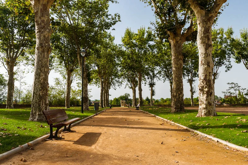 Randonnée Sentier urbain de Lavaur · Lavaur