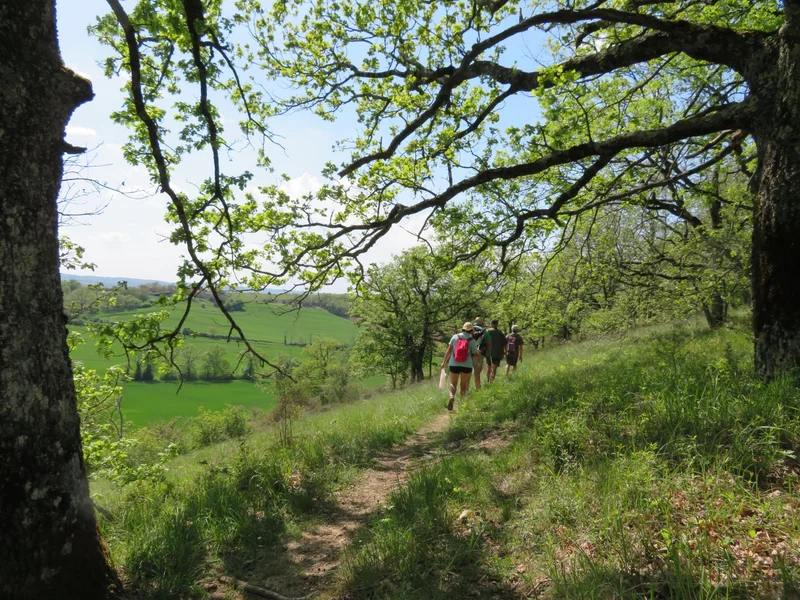 Randonnée Sentier des coteaux · Saint-Julien-du-Puy