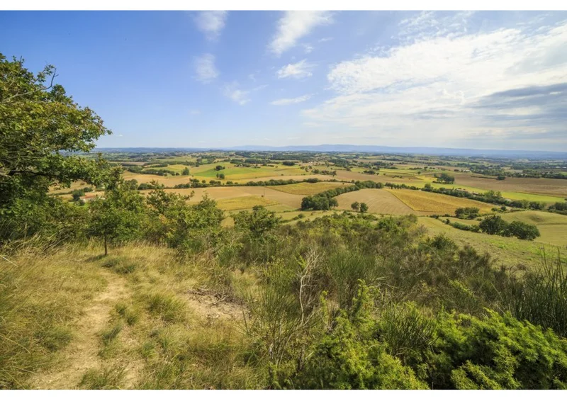 Randonnée Sentier de l'ail · Lautrec