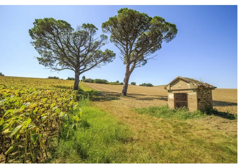 Randonnée Le Tumulus · Lautrec