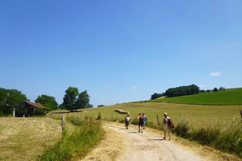 Randonnée Boucle de Bertre · Puylaurens