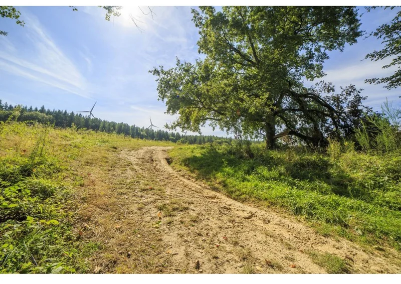 Randonnée Le circuit du pas du Loup · Serviès
