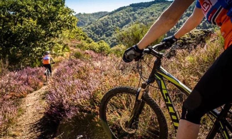 VTT VTT circuit 11 - Le Margnès · Fontrieu