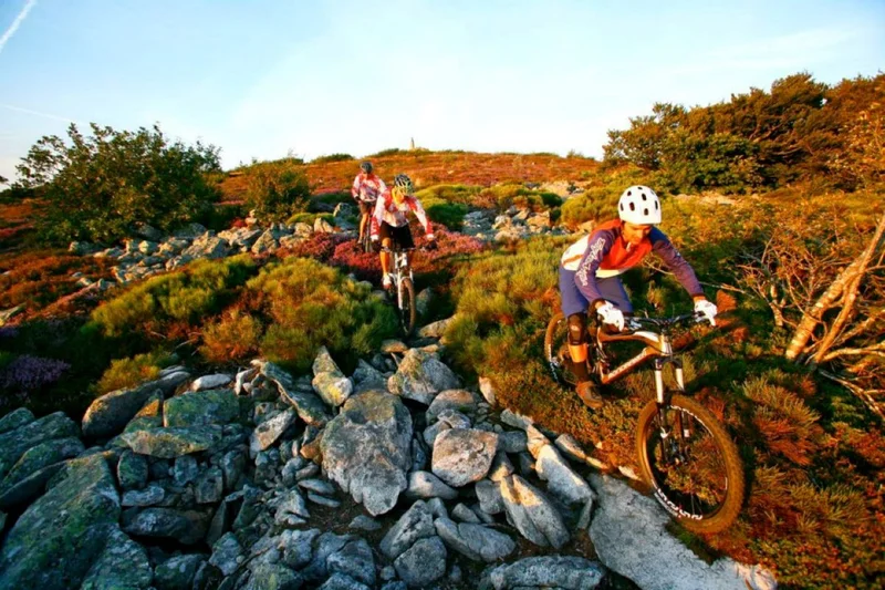 VTT VTT circuit n°8 - secteur de Cambounès · Fontbelle
