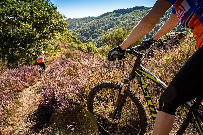 VTT Circuit VTT n°2 - L'Échappée sauvage · Mirandol-Bourgnounac