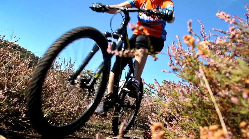 VTT Circuit VTT n°5 - La virée calcaire · Virac