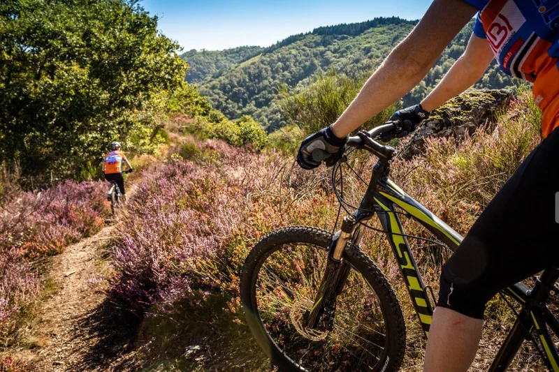 VTT Circuit VTT n°3 Lacaune les Bains · Lacaune