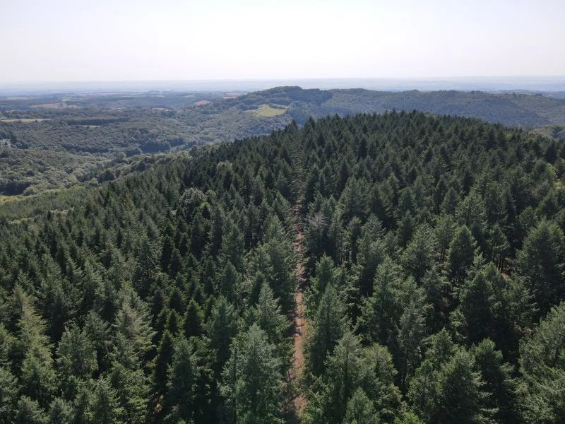 VTT Circuit VTT n°1 Château de Montredon · Montredon-Labessonnié
