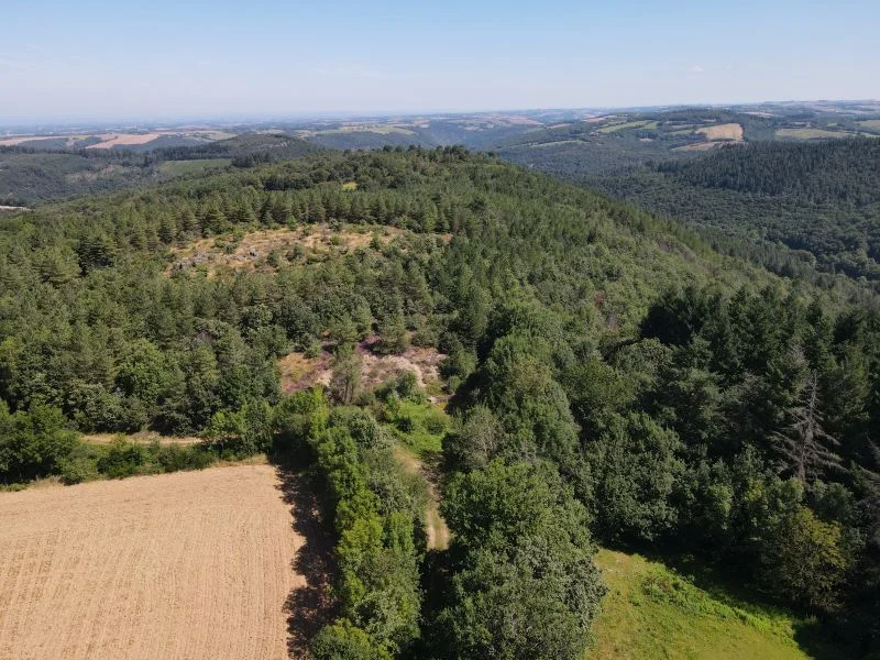 VTT Circuit VTT n°5 L'Observatoire le Nautonnier · Montredon-Labessonnié