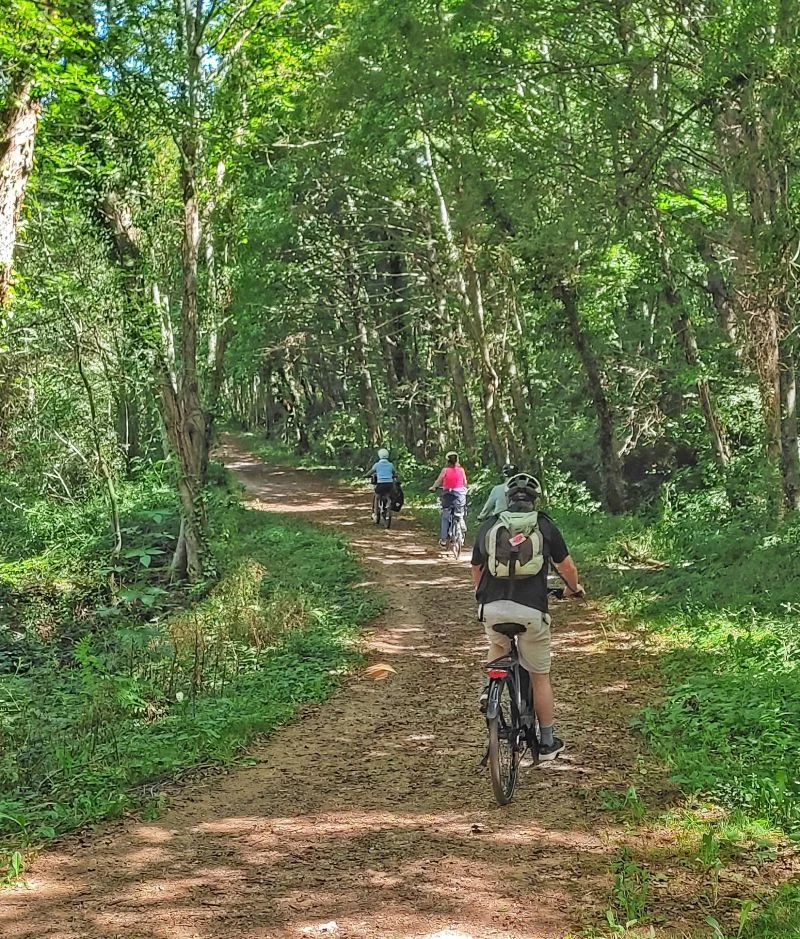 VTT Circuit VTT Tour du Réalmontais · Réalmont