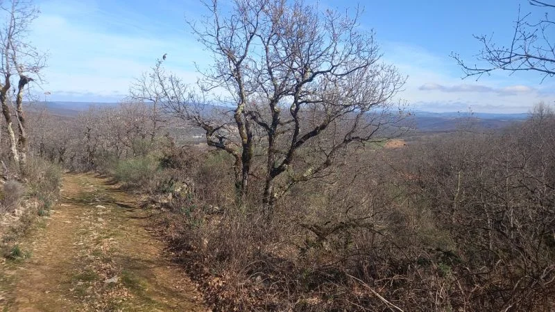 VTT Circuit VTT n°33 Le Marathon · Penne