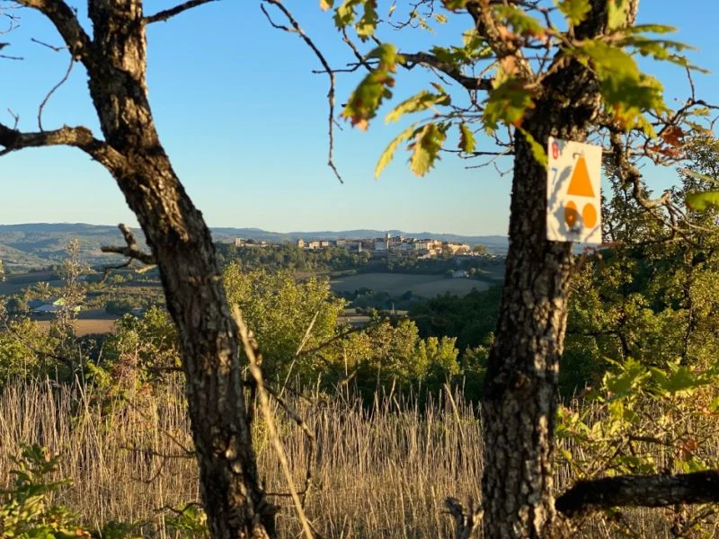 VTT Circuit VTT 6 Chemin de Gradille · Castelnau-de-Montmiral