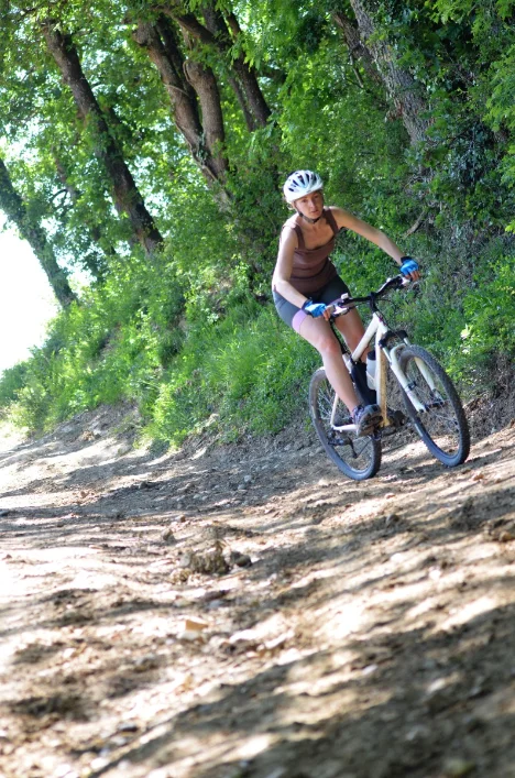 VTT Circuit VTT 8 Grand tour de Grésigne · Castelnau-de-Montmiral