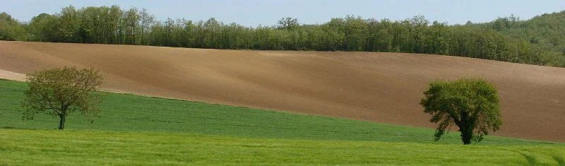 VTT Circuit VTT 16 Les crêtes de Briatexte · Graulhet