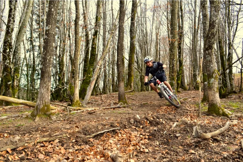 VTT Circuit VTT n °19 · Anglès