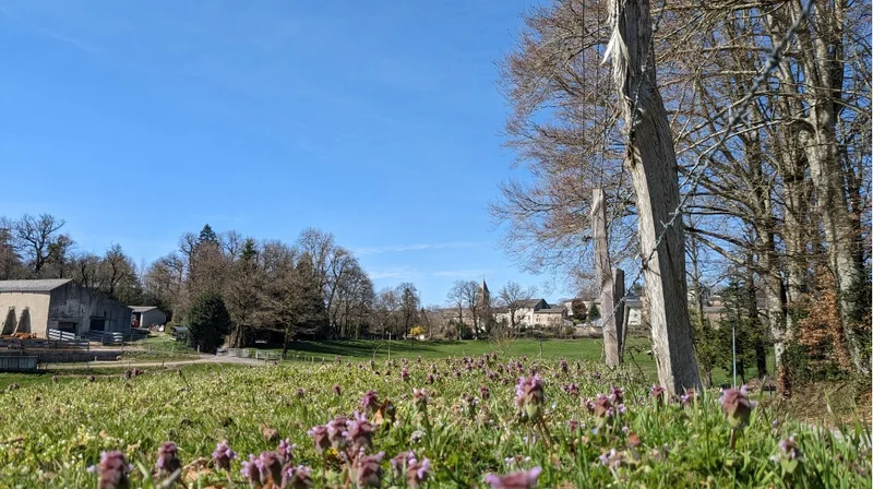 VTT Circuit VTT n °20 · Anglès