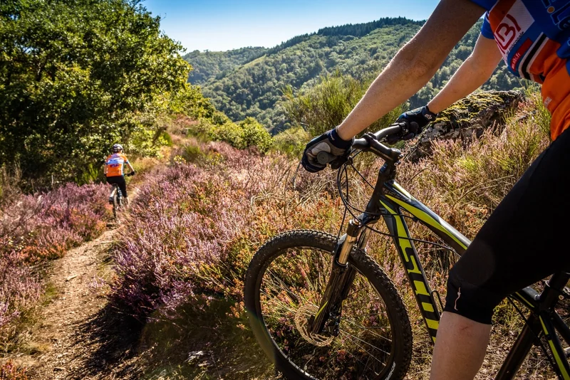 VTT N°1 Frescati · Anglès