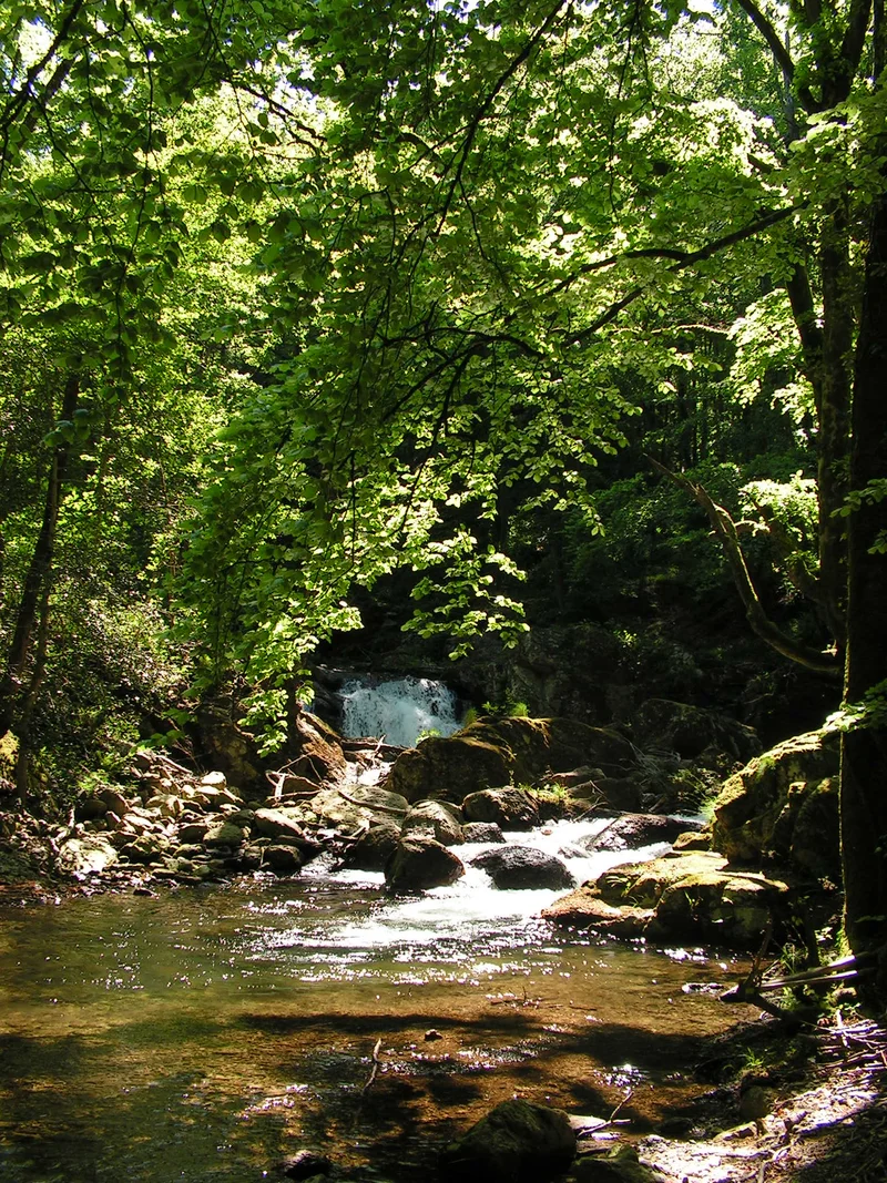 VTT N°10 Albine-Candesoubre-Crêtes · Labastide-Rouairoux