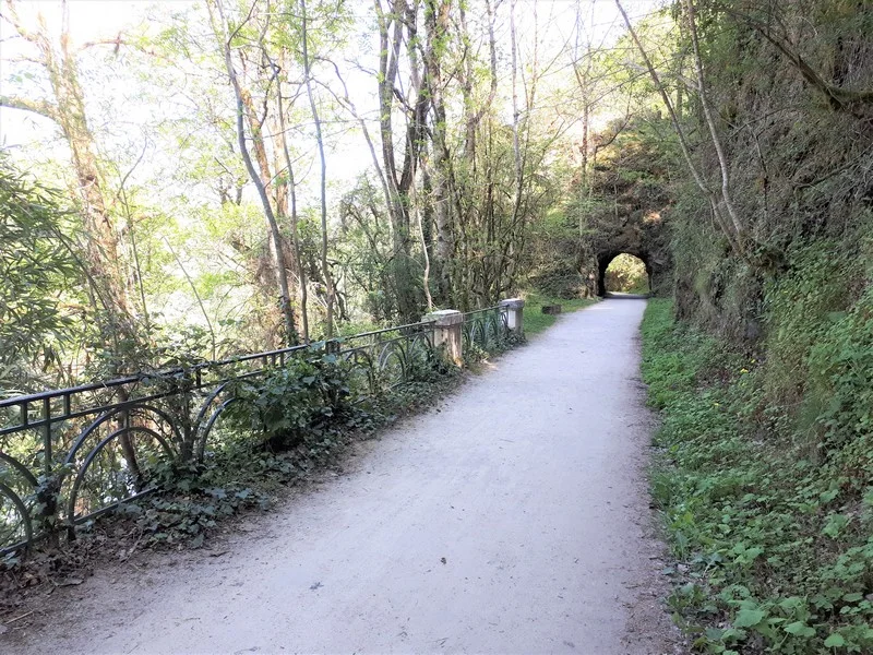 Vélo de route Vélo petites routes - Au fil de l'Agout via Burlats et Roquecourbe · Castres