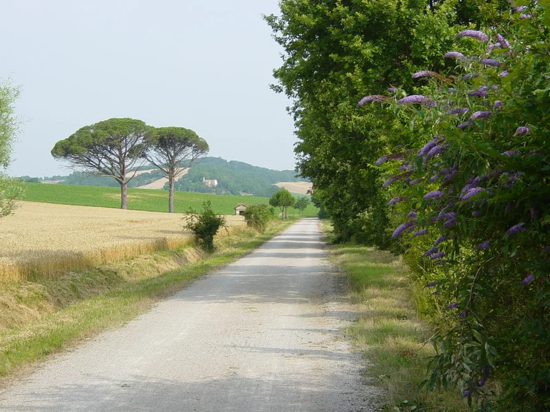 Vélo de route Voie verte "chemin des droits de l'homme" · Puygouzon