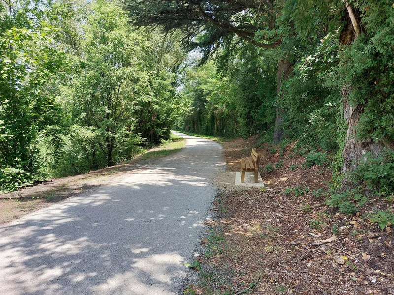 Vélo de route Voie verte "Le chemin des mineurs" · Albi