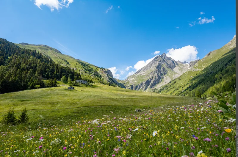 Randonnée Vallon de l'Orgère : rando facile en famille ! · La Norma