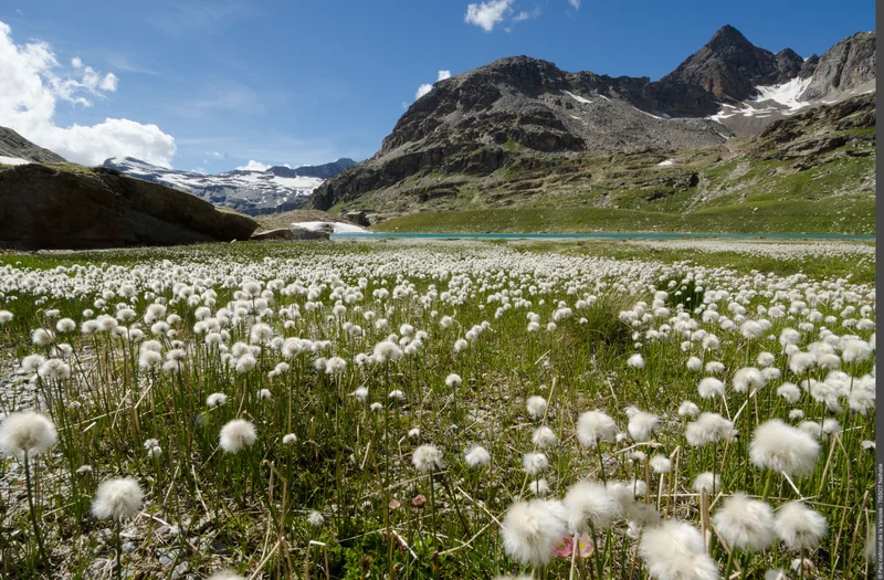 Randonnée Randonnée vers le refuge du Carro : dans l'intimité des cirques glaciaires · Bonneval-sur-Arc