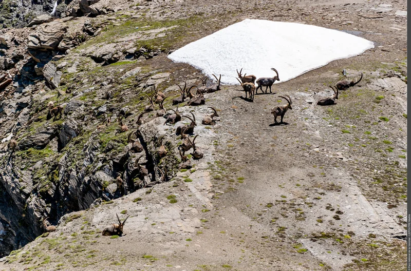Randonnée Col de la Lose : le paradis sauvage · Val-d'Isère