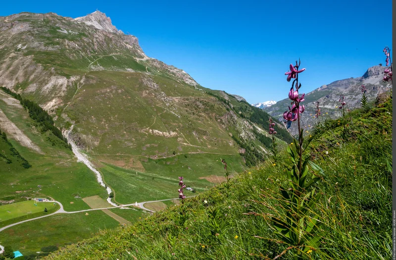 Randonnée Le col des Fours depuis le Manchet : un itinéraire alpin et sauvage · Val-d'Isère