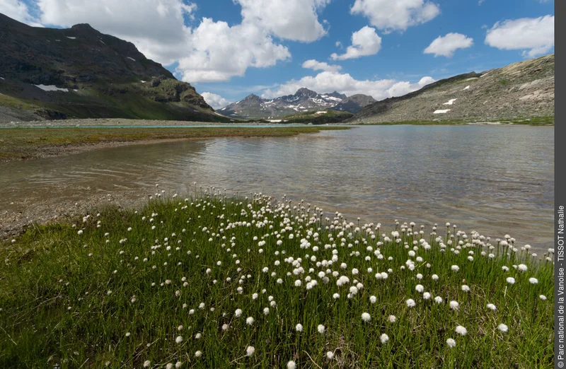 Randonnée Le cirque des Evettes : randonnée au pied des grands sommets et glaciers de Maurienne · Bonneval-sur-Arc